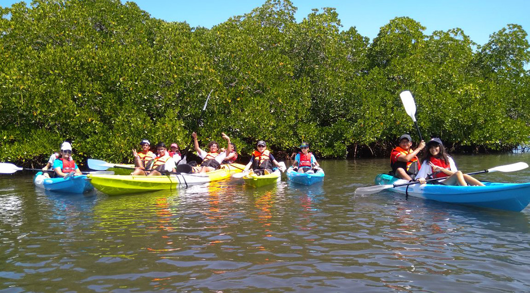 Barefoot Holidays Activities