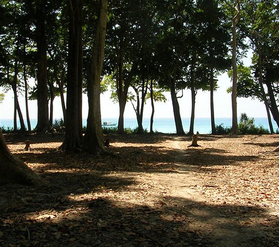 Barefoot Holidays Memorable Andamans